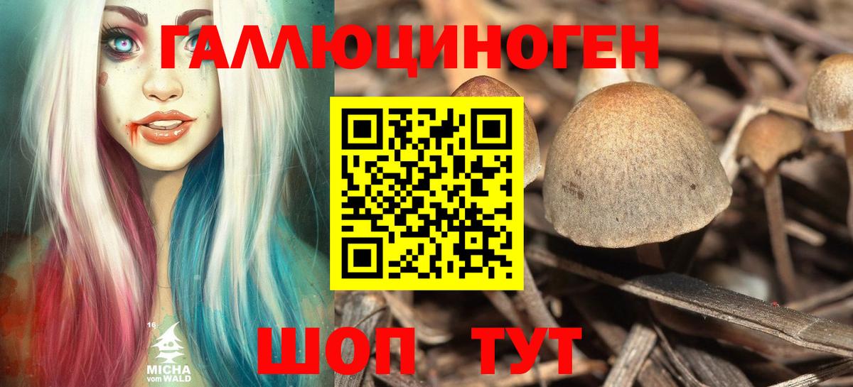 Галлюциногенные грибы Psilocybe Стерлитамак