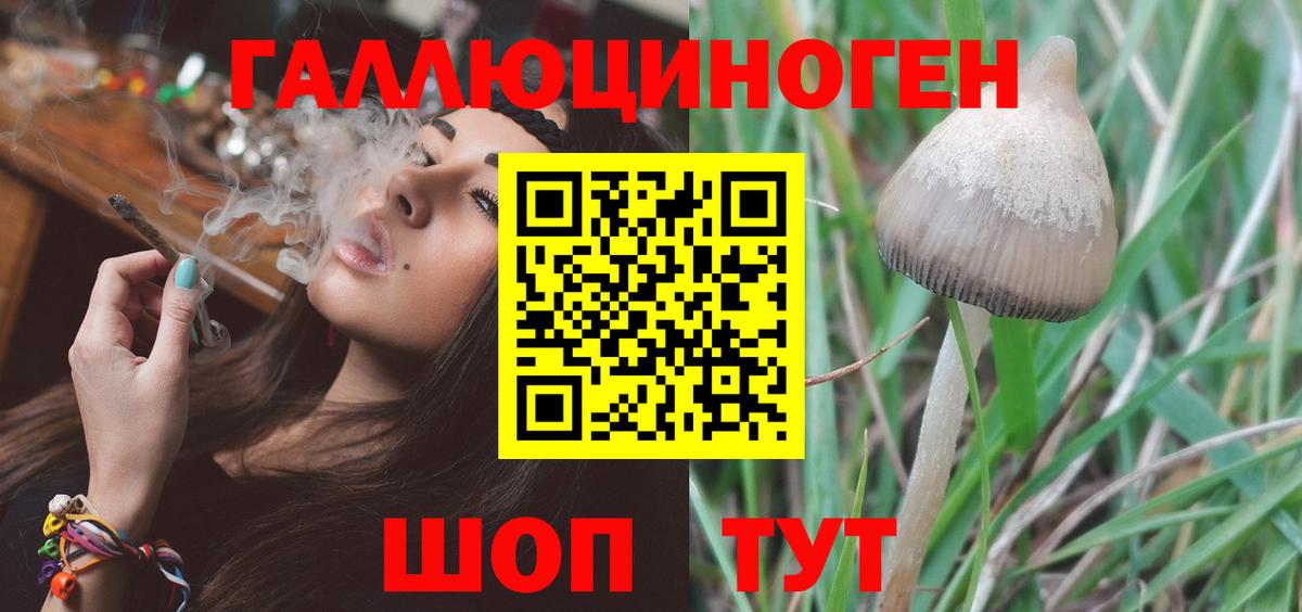 Стерлитамак  Галлюциногенные грибы Cubensis  Вход с VPN  Псилоцибиновые грибы Magic Shrooms 